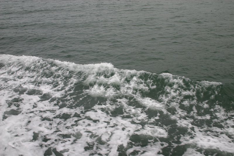 Image 150