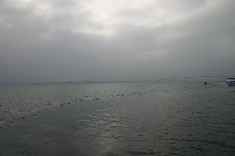Image 181