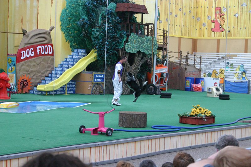 Image 422