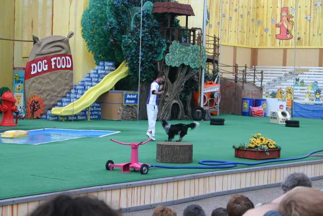 Image 423